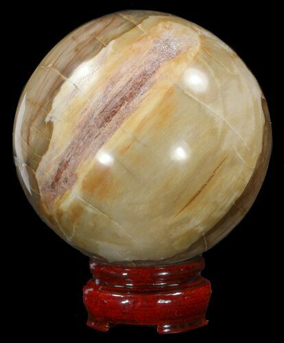 Colorful Petrified Wood Sphere #41949